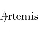 Artemis - Women on the Move Project