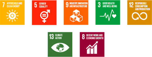 UN Sustainable Development Goals2